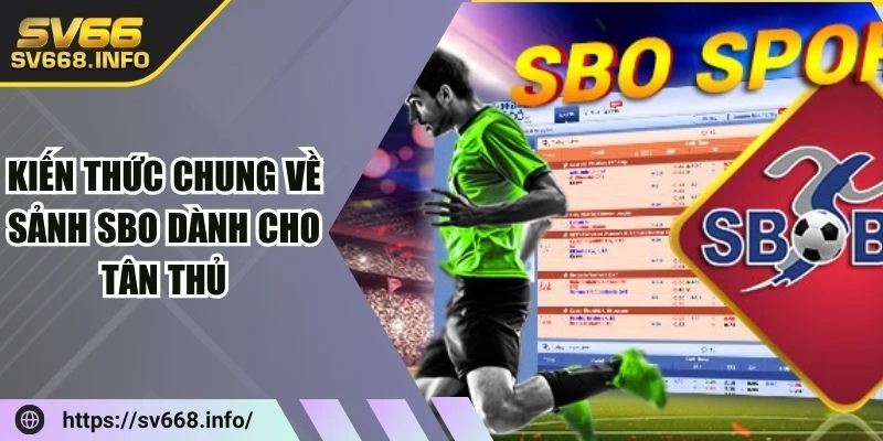 kien-thuc-chung-ve-sanh-sbo-sport-danh-cho-tan-thu