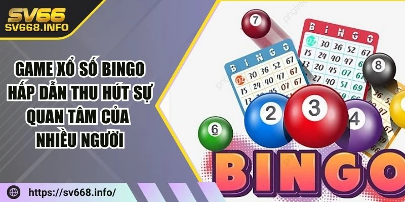 game-xo-so-bingo-hap-dan-thu-hut-su-quan-tam-cua-nhieu-nguoi